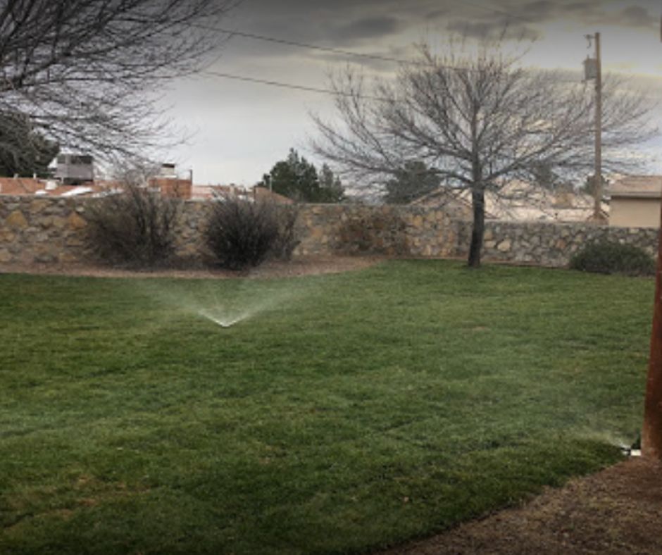 Unearth the Hidden Gem: Transforming Your Outdoor Oasis with a Landscaper in Las Cruces, NM!