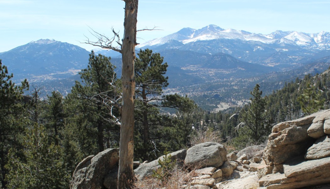 Where Can You Find the Best Estes Park Lodge Experience? A Relaxed Guide for First-Timers