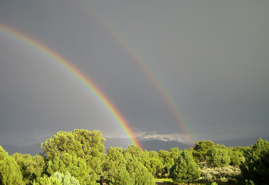 How Can You Spend Time in Nature for Better Health? Tips for Finding Peace at a Yoga Retreat Center